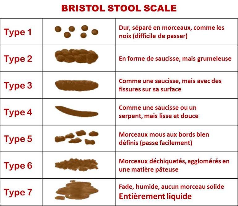 L'échelle de Bristol